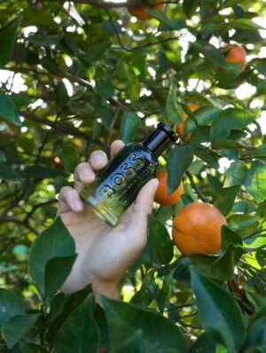 HUGO BOO_S bottled vold citrus